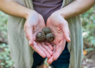 person holding fruits