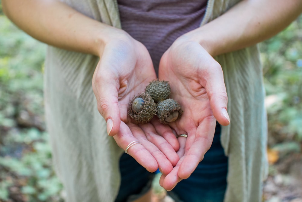 person holding fruits