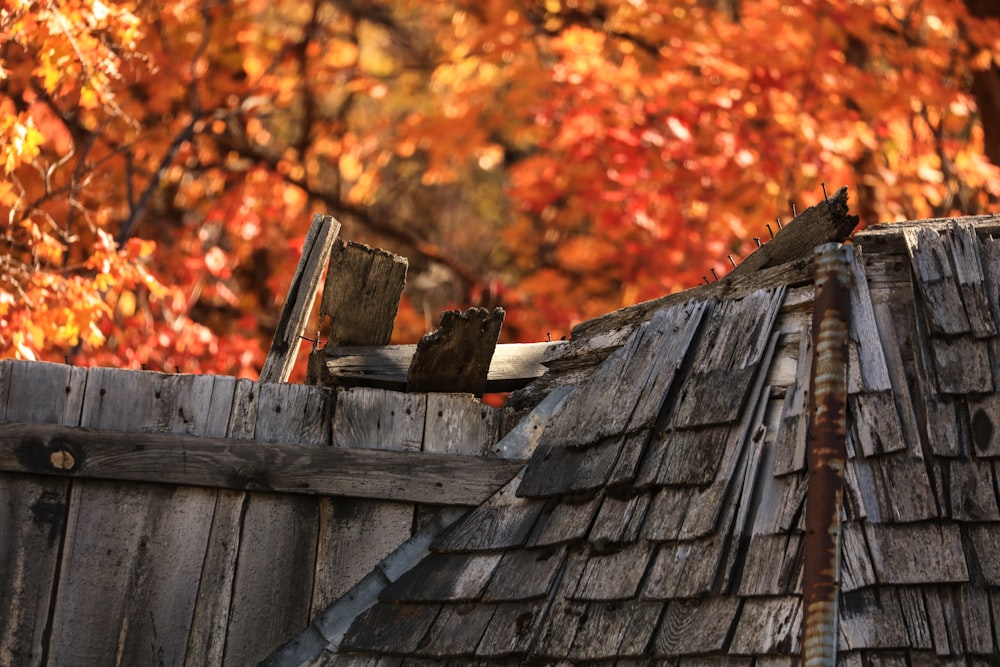 close view of brown roof house