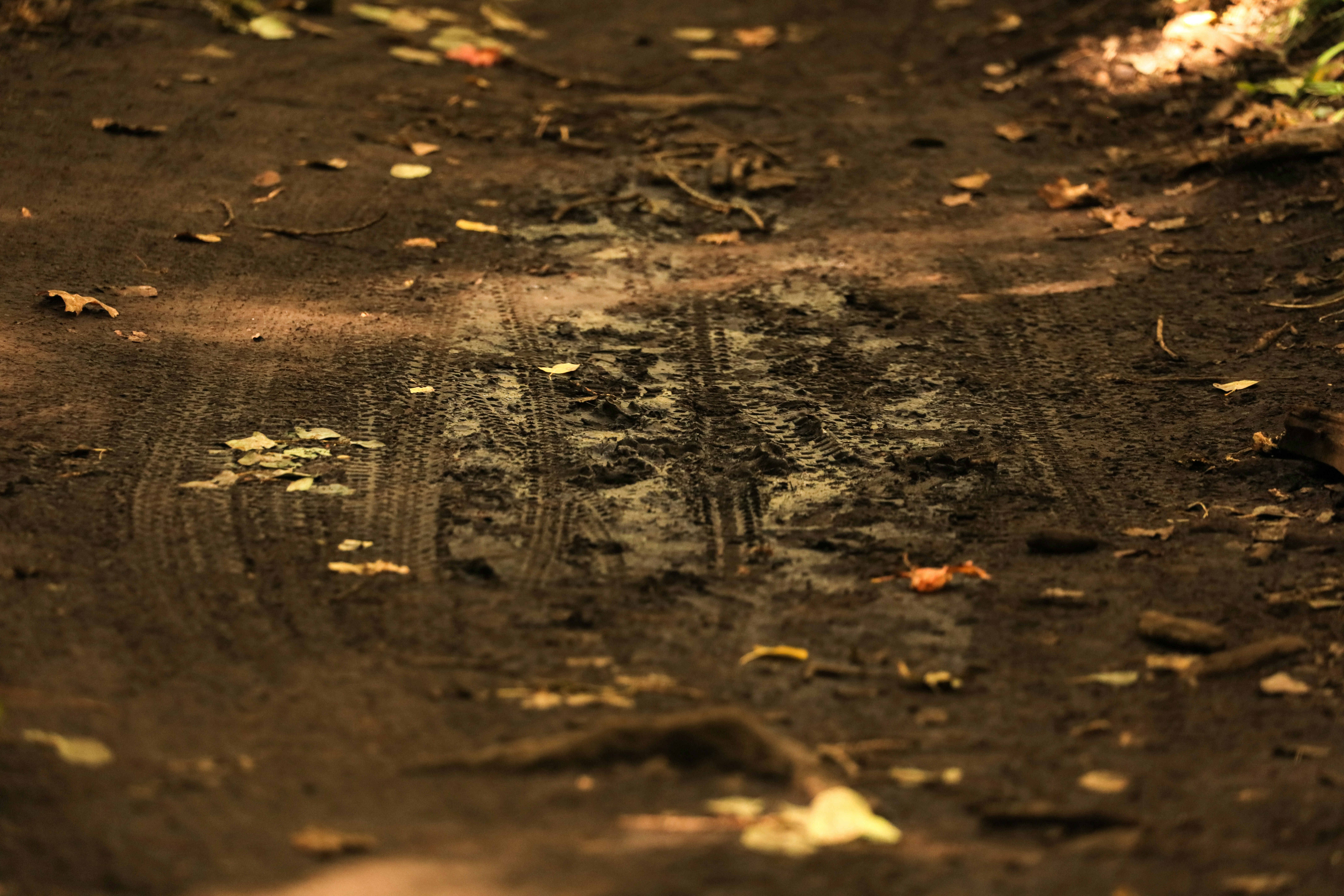 Photo by worldsbetweenlines