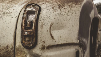 Close-up image of a dull car surface with fading paint under natural light.