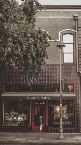 A storefront with the sign 'MAGNA CARTA' above the entrance. There is a red door at the center with a parking meter in front and a streetlamp to the side. The building has a dark, textured facade with a large tree covering part of the upper area.