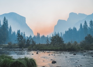 body of water surrounded by trees