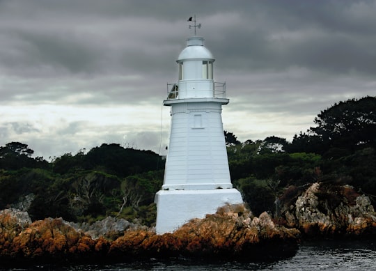 white lighthouse covered in green leafed trees in Tasmania Australia