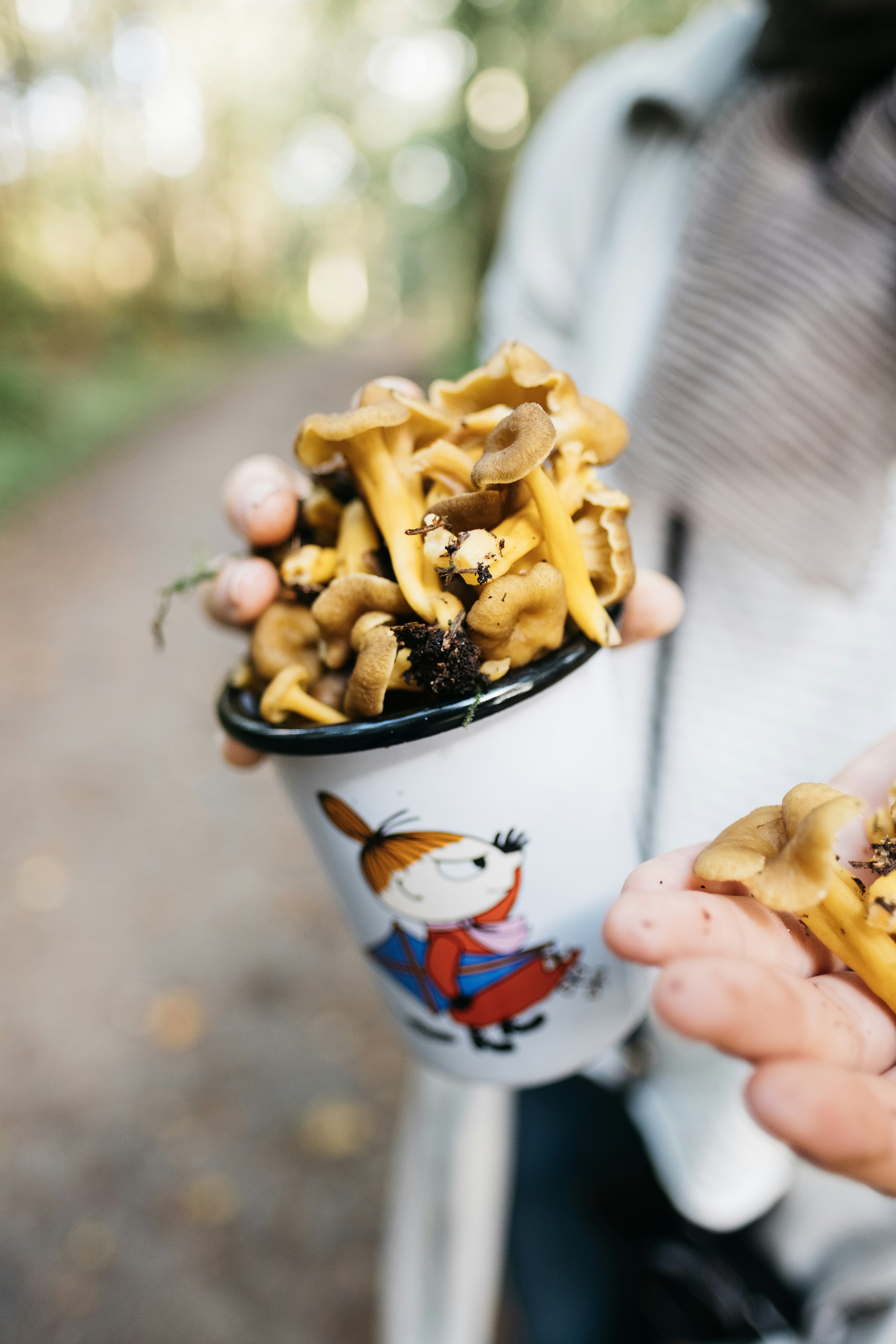 Early morning one Saturday to go Chantarelle picking in the forest.