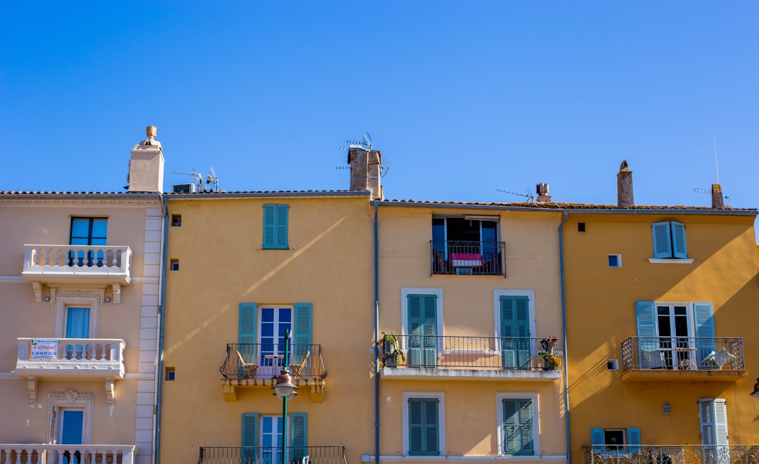 brown and white concrete buildings, Blue morning