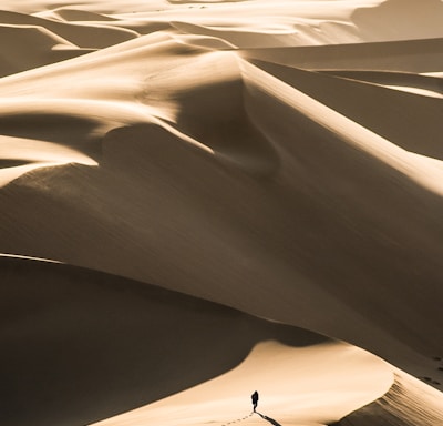 person walking in the desert