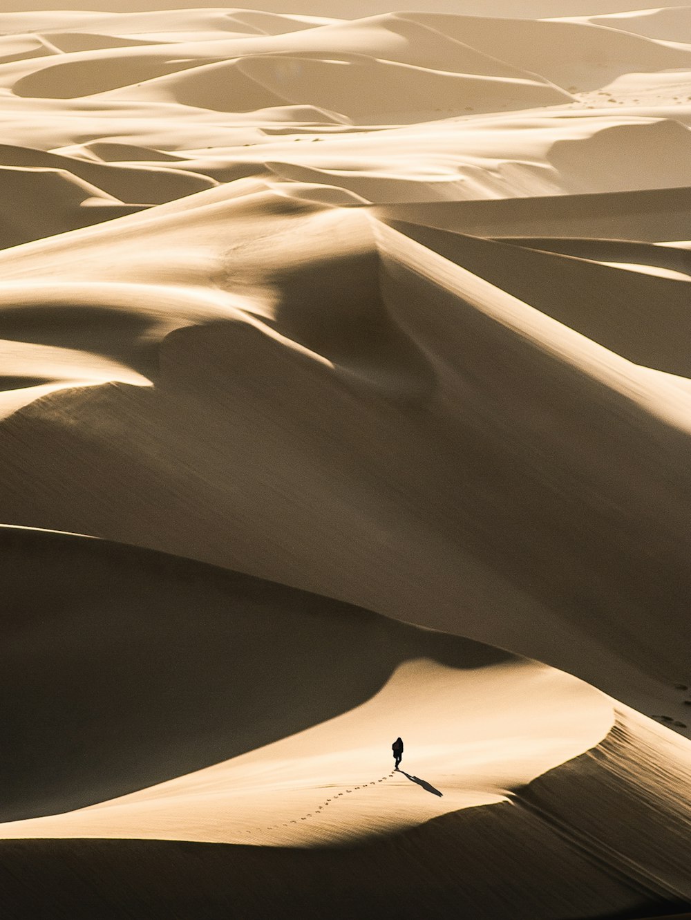 사막을 걷는 사람