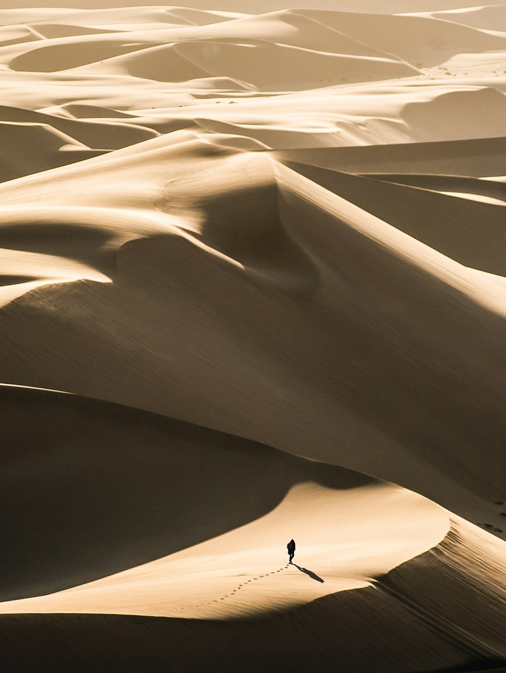 persona che cammina nel deserto