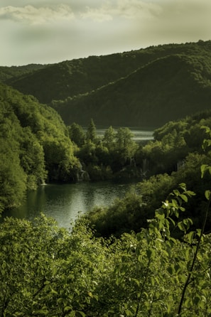 A serene landscape capturing the essence of nature.