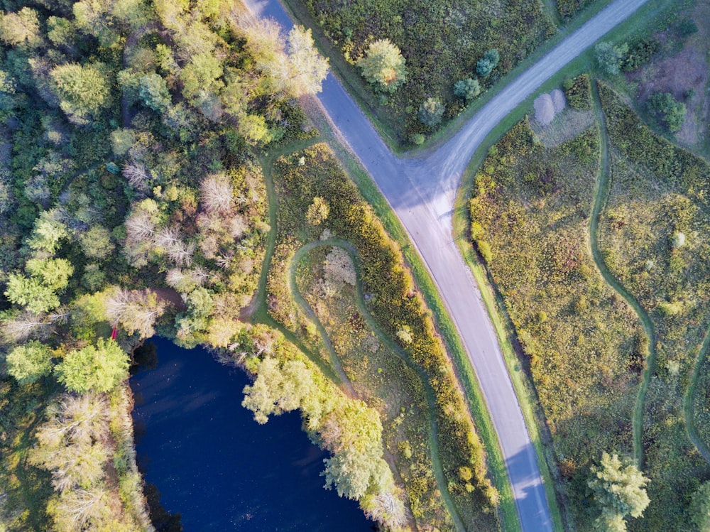Fotografía aérea de un cruce de caminos cubierto de árboles
