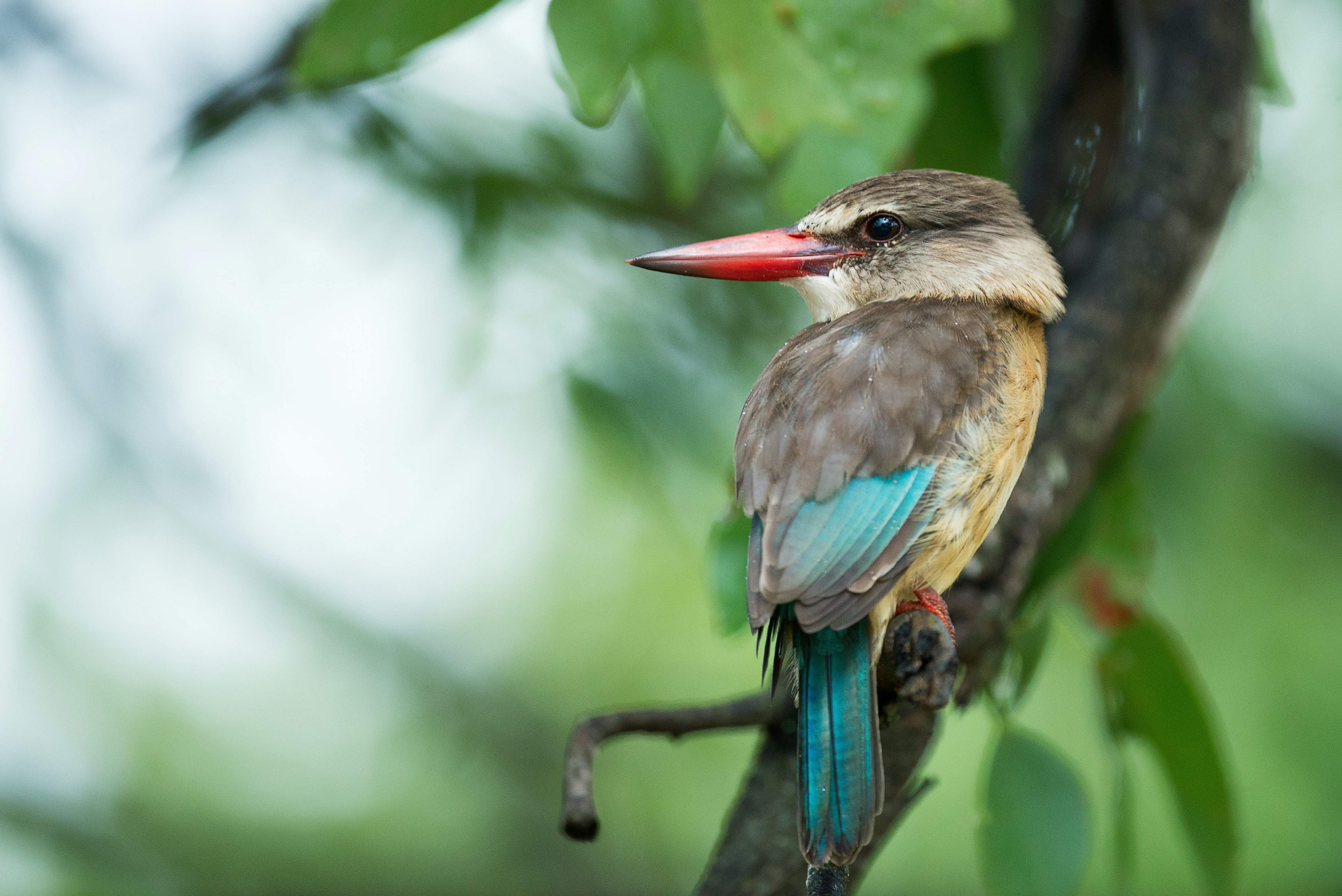 Photo by vincentvanzalinge