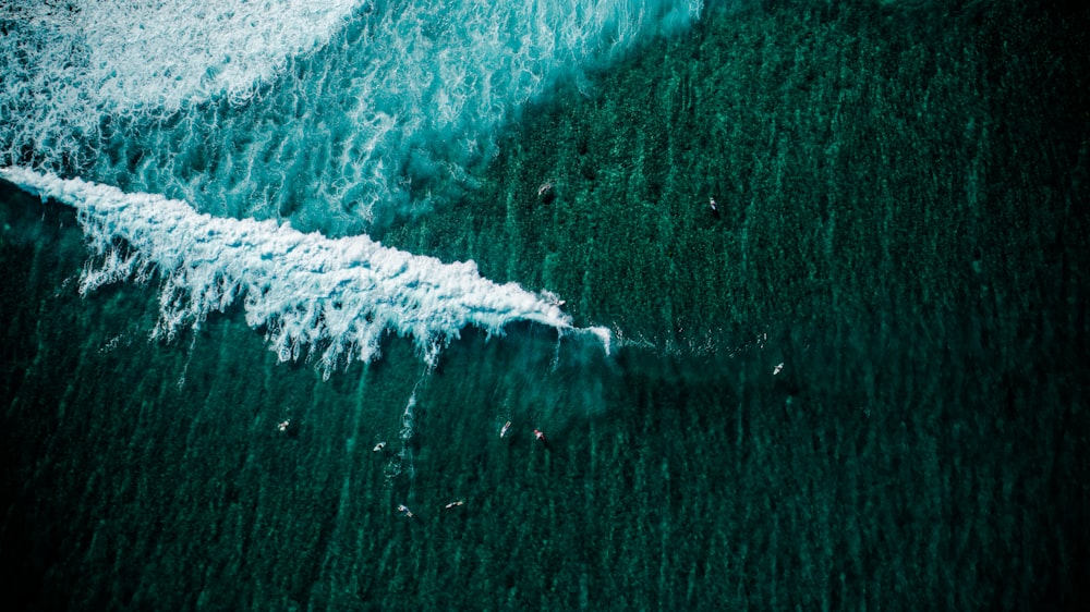 bird's eye photography of body of water