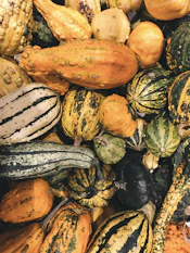 assorted squashes