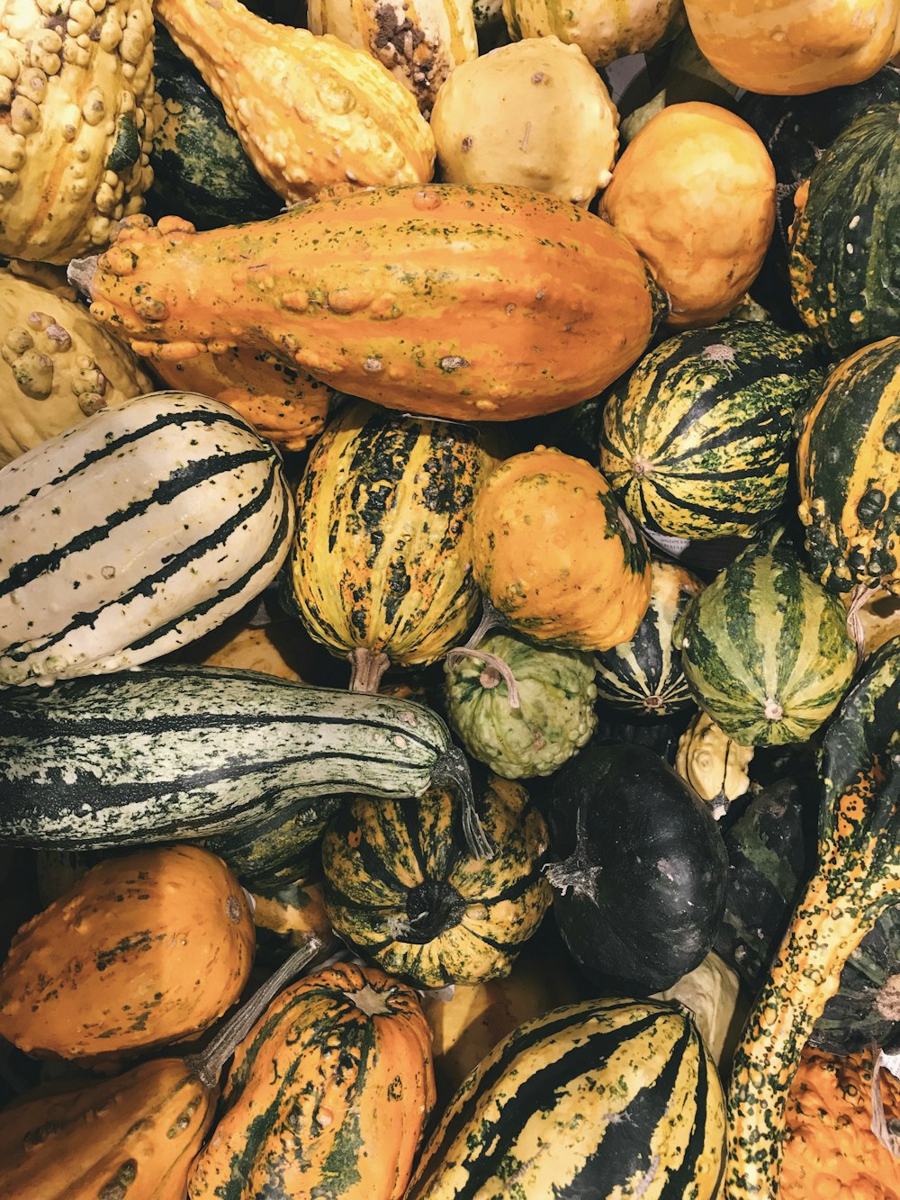 Assortiment de courges