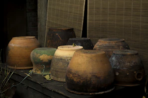 Artisanal ceramic pots in earthy tones arranged on a rustic wooden shelf.