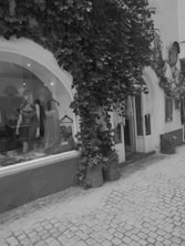 A charming storefront with a large arched window displaying mannequins wearing dresses. Lush ivy climbs up the white facade of the building. The cobblestone street adds a vintage feel. Barrels with plants decorate the entrance, enhancing the quaint atmosphere.