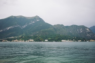 A serene view of the Dal Lake with houseboats and mountains in the background.