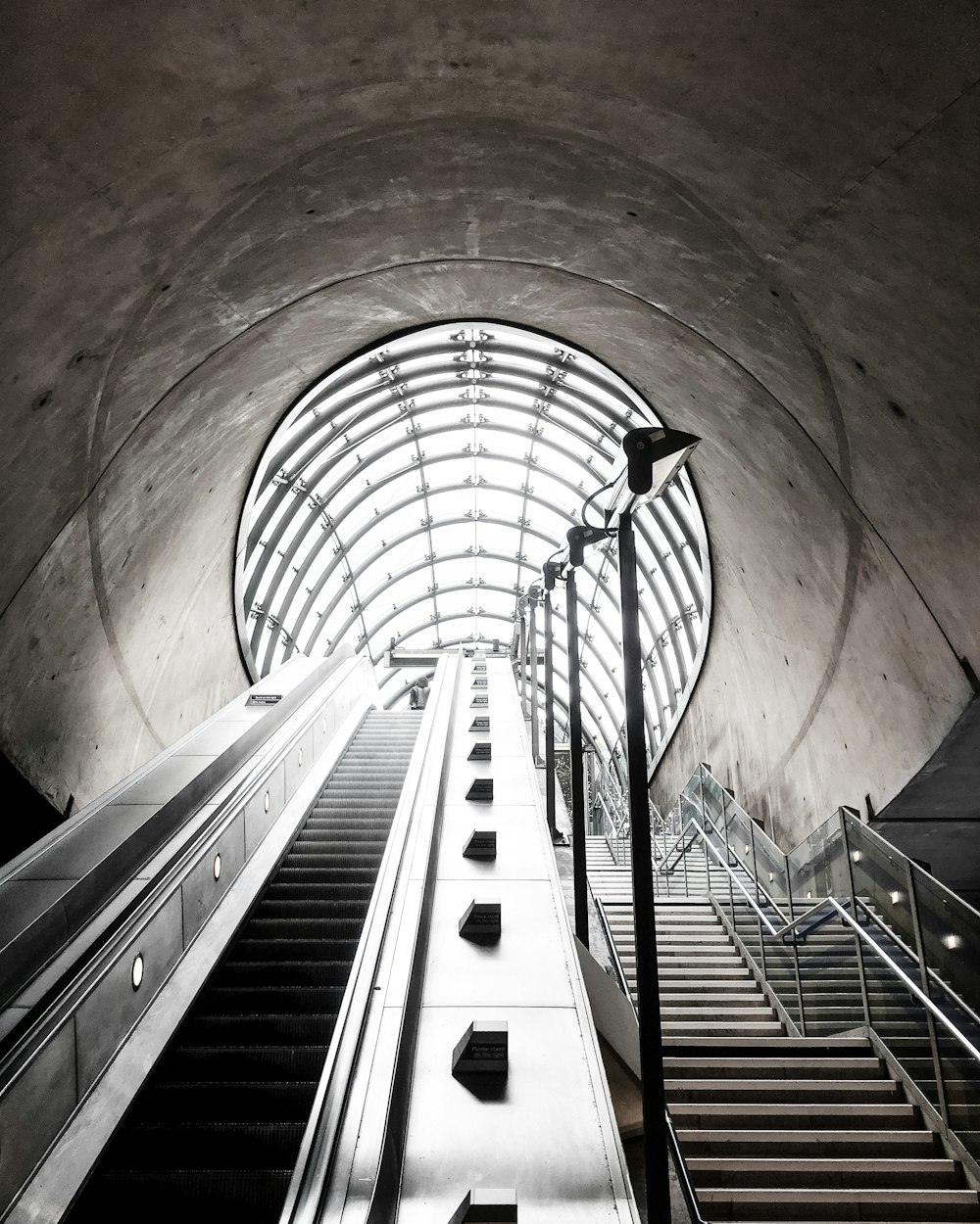 architectural photography of stairs beside escalator