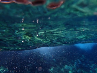 An underwater view of sunlight filtering through the water.