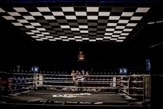 two man in blue and red pair of gloves on boxing ring