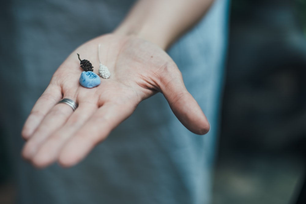 person holding shells