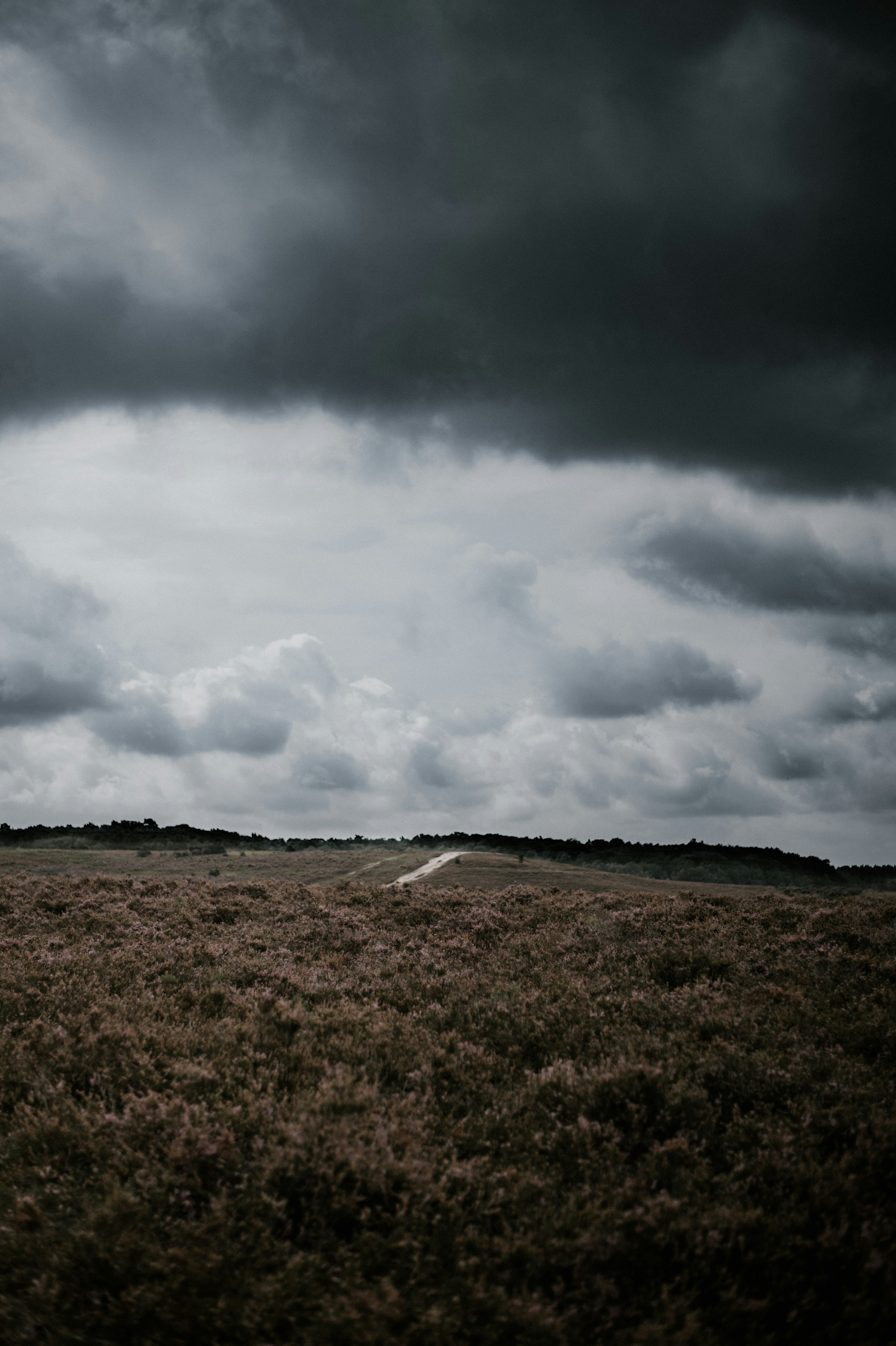 Photo by anniespratt