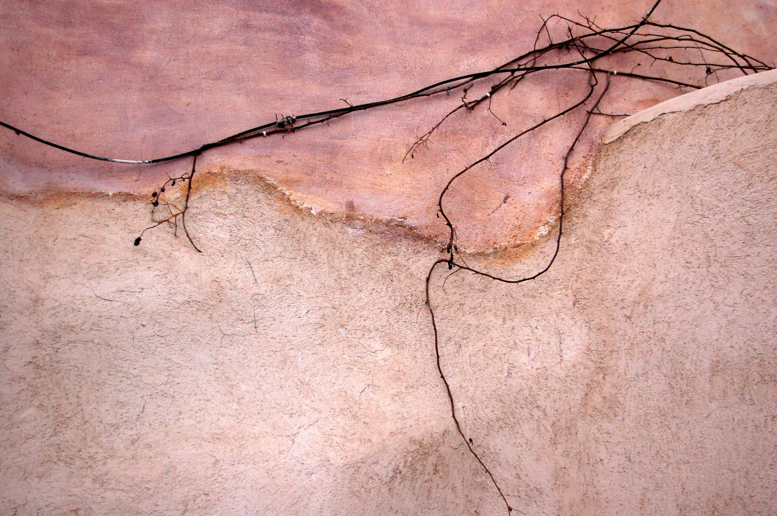 brown and black roots