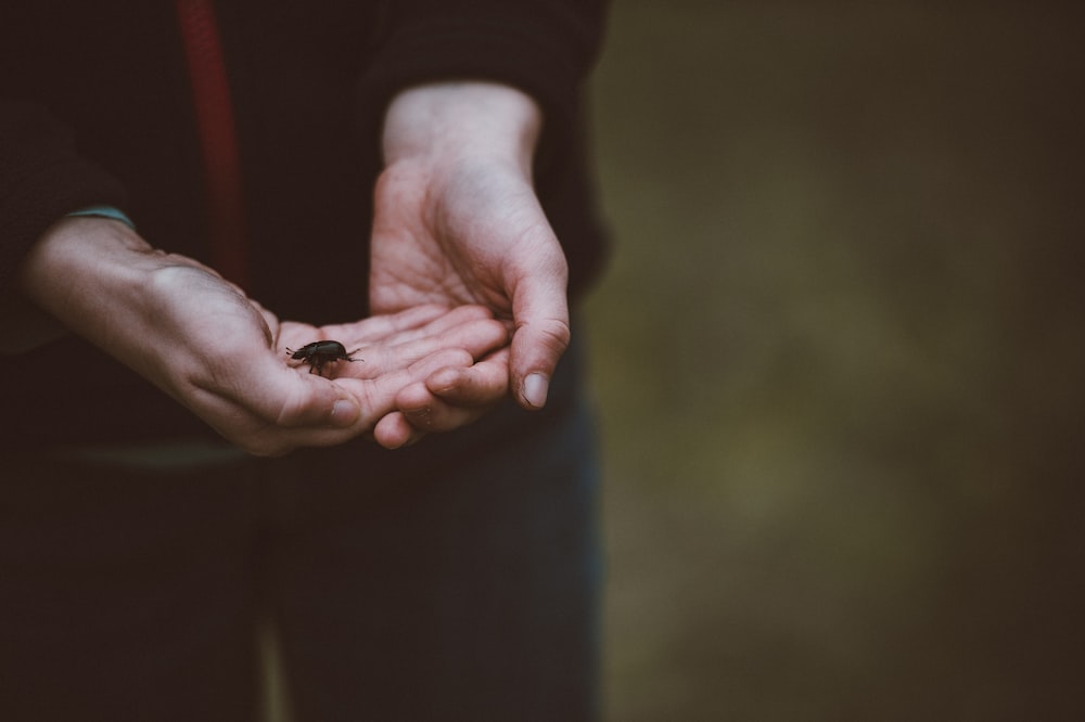 person carrying a black bettle
