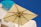 A stylish patio umbrella in a sunny outdoor setting.