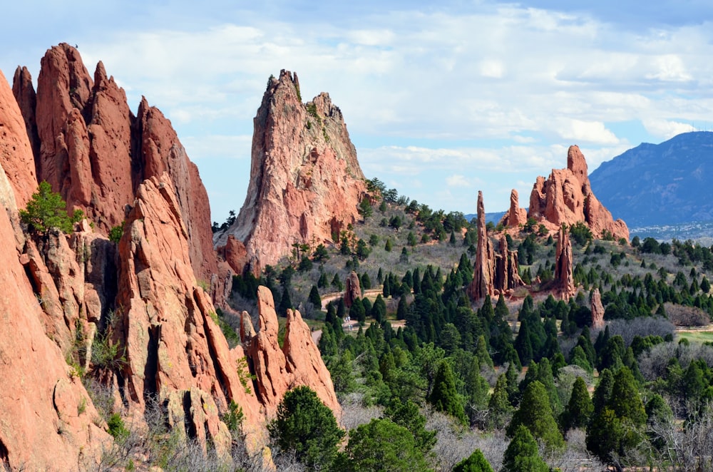 Fotografía de paisaje de árboles verdes