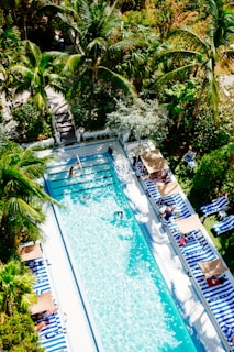swimming pool surrounded by trees