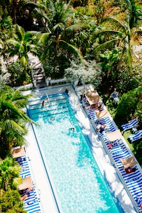 swimming pool surrounded by trees