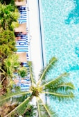 Sunlit view of the private saltwater pool with lounge chairs and desert plants surrounding it.