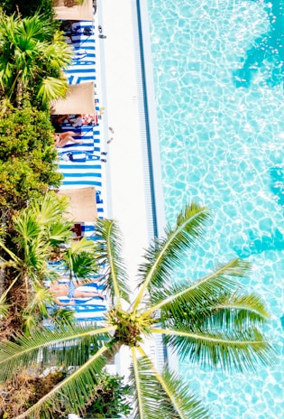 Aerial view of a swimming pool bordered by blue and white striped lounge chairs and palm trees. Sunbathers are lying on the loungers, with some shaded by umbrellas, while clear blue water fills half the frame.