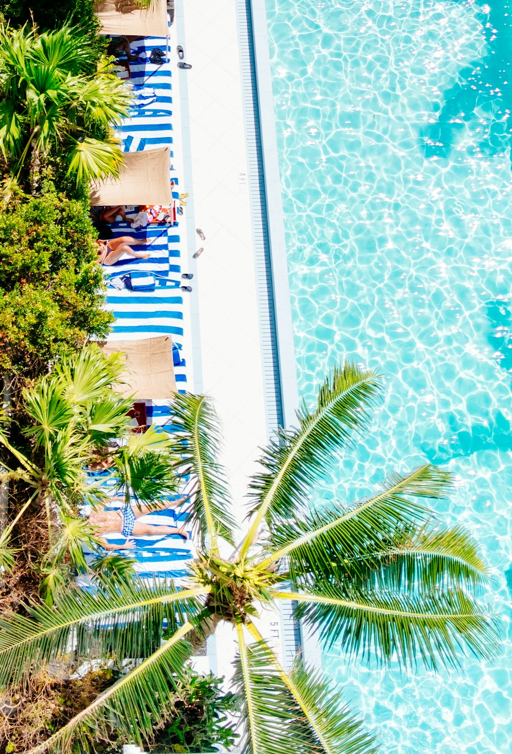 Photo aérienne de palmier vert à côté de la piscine bleue pendant la journée