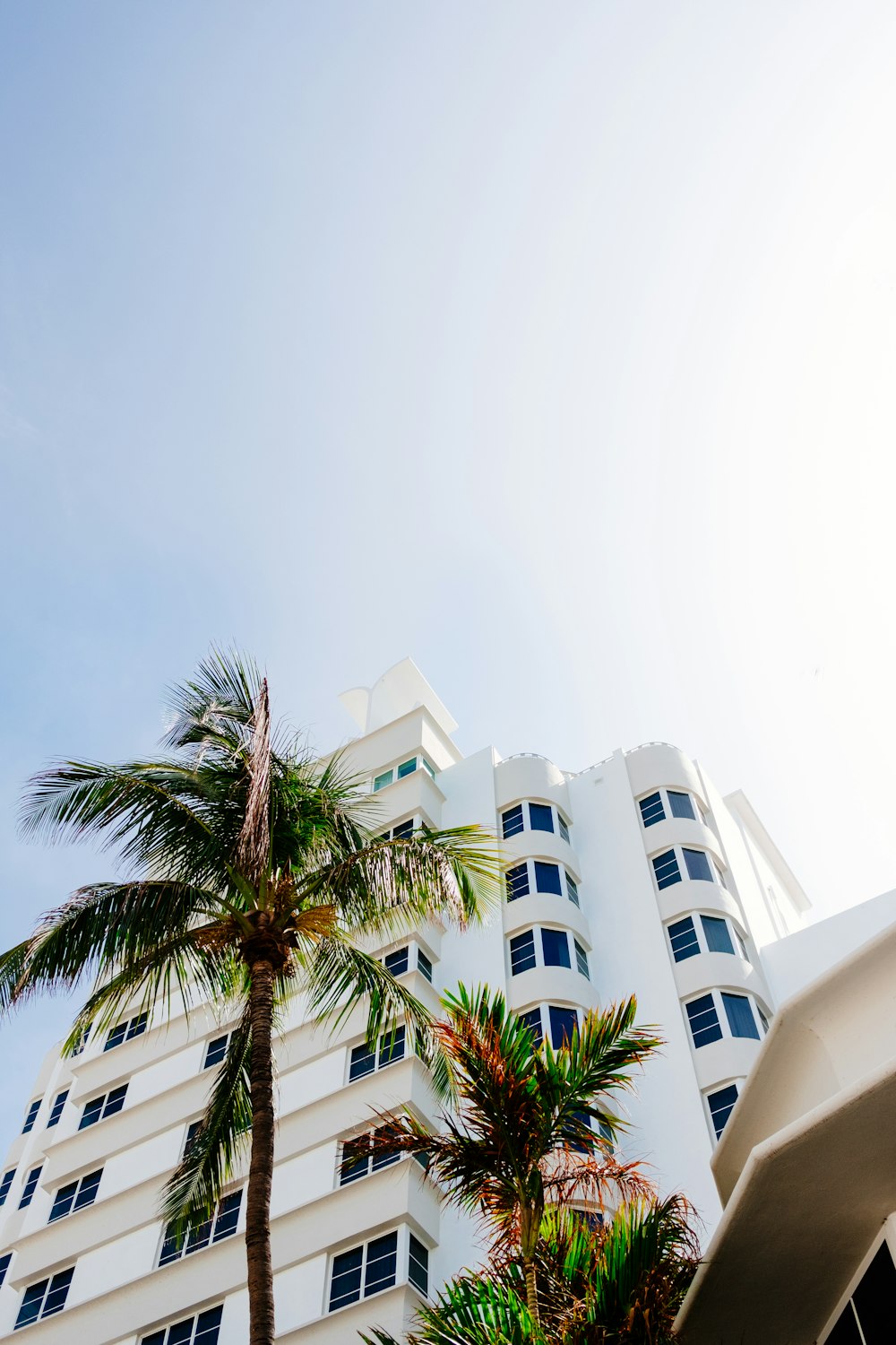 a tall white building with palm trees in front of it