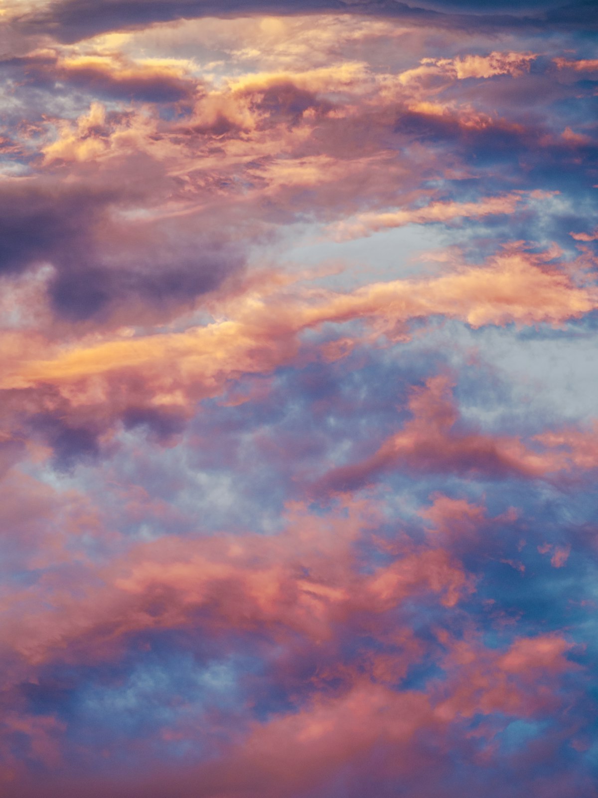 Your Circadian Rhythm: How to Sync Your Body Clock for Better Health