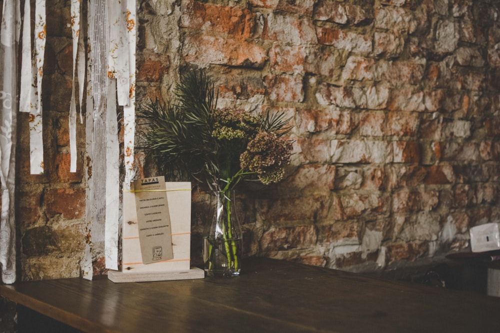 green and brown plant in clear glass vase beside brown concrete wall