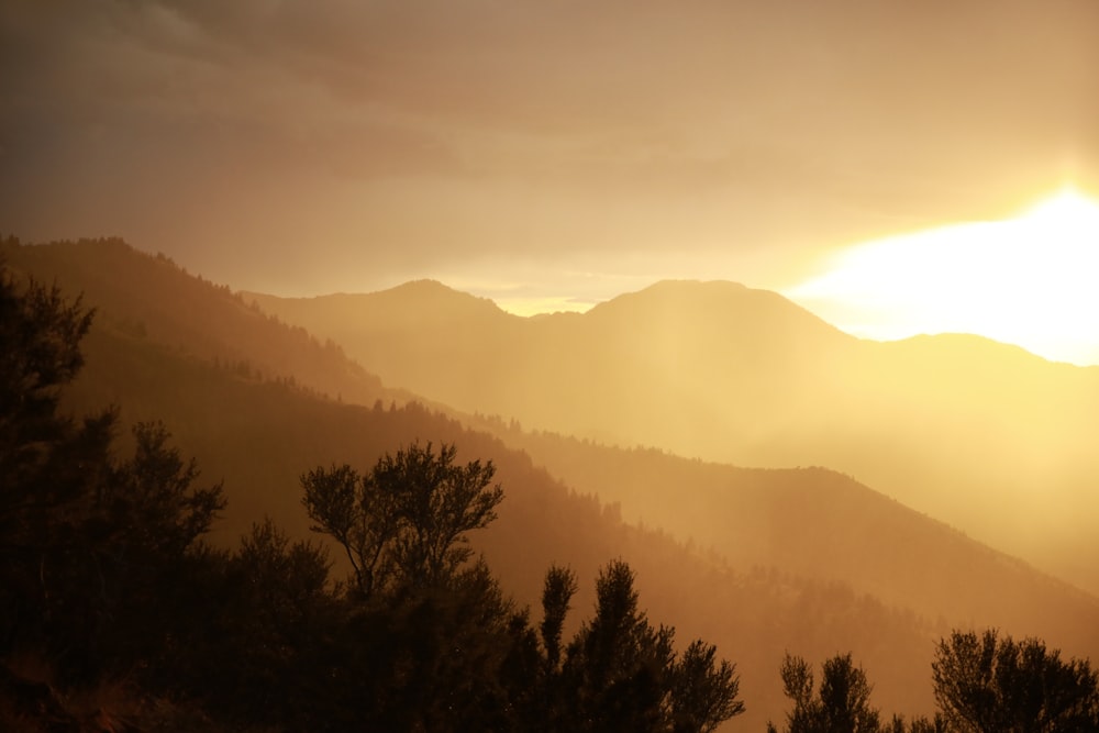 silhouette of trees and mountains during sunset