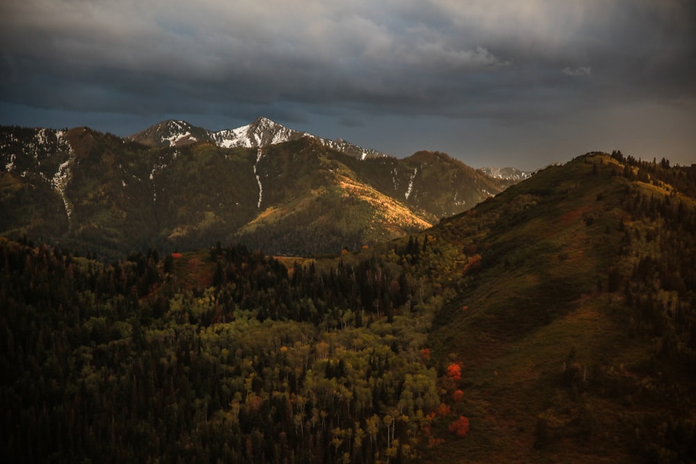 brown mountains and trees under white clouds