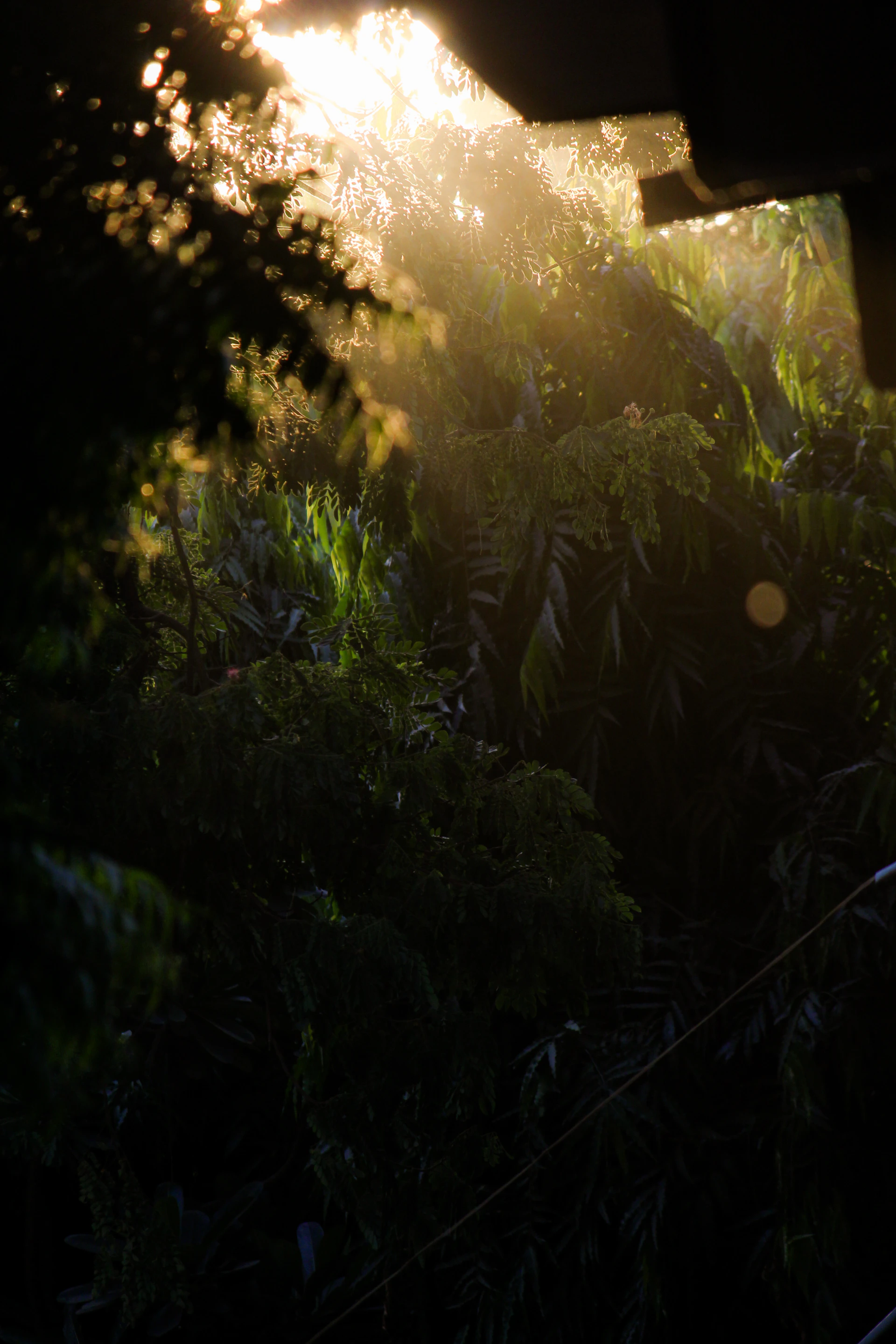 woman wearing yellow long-sleeved dress under white clouds and blue sky during daytime
