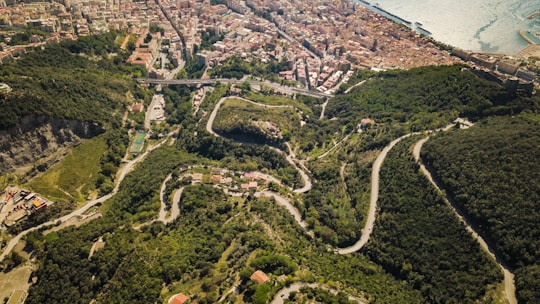 aerial photography of green leafed trees in Salerno Italy