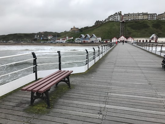 Saltburn-by-the-Sea Pier things to do in Staithes