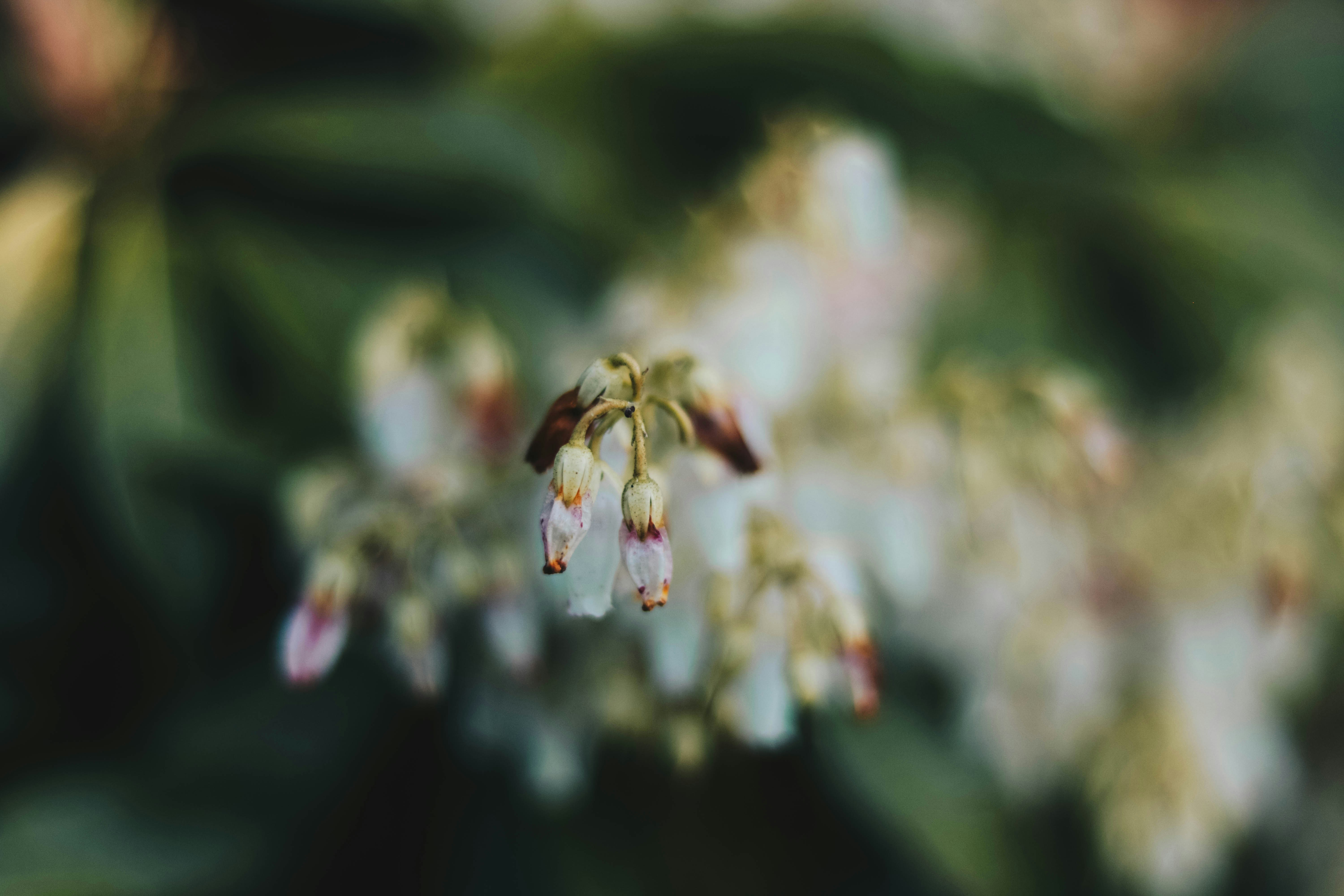 Photo by mrsrachelmcdermott