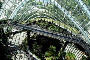 architectural photography of glass building