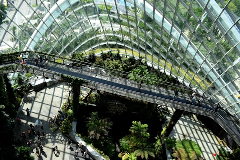 architectural photography of glass building