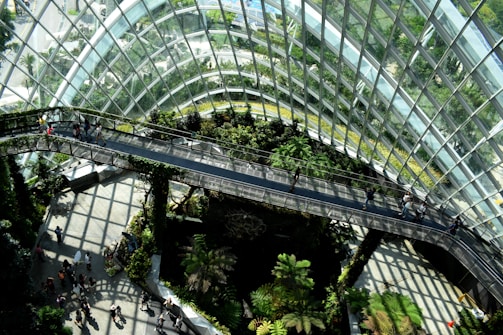 architectural photography of glass building