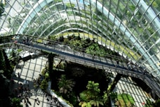 architectural photography of glass building