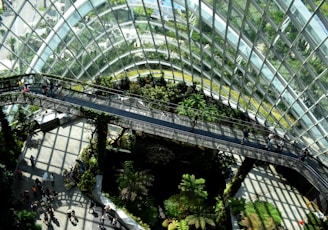 architectural photography of glass building